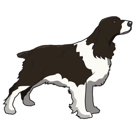 Signmission English Springer Spaniel Dog Decal, Dog Lover Decor Vinyl Sticker D-12-English Springer Spaniel
